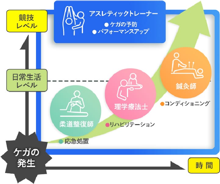 スポーツの現場での役割
