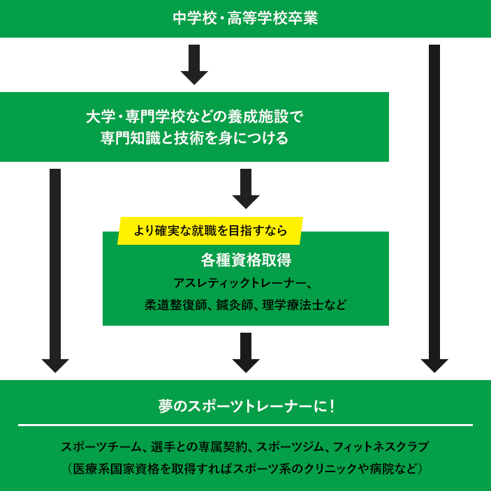 スポーツトレーナーになるには 東京メディカル スポーツ専門学校