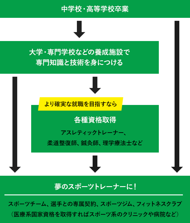 スポーツトレーナーになるには 東京メディカル スポーツ専門学校