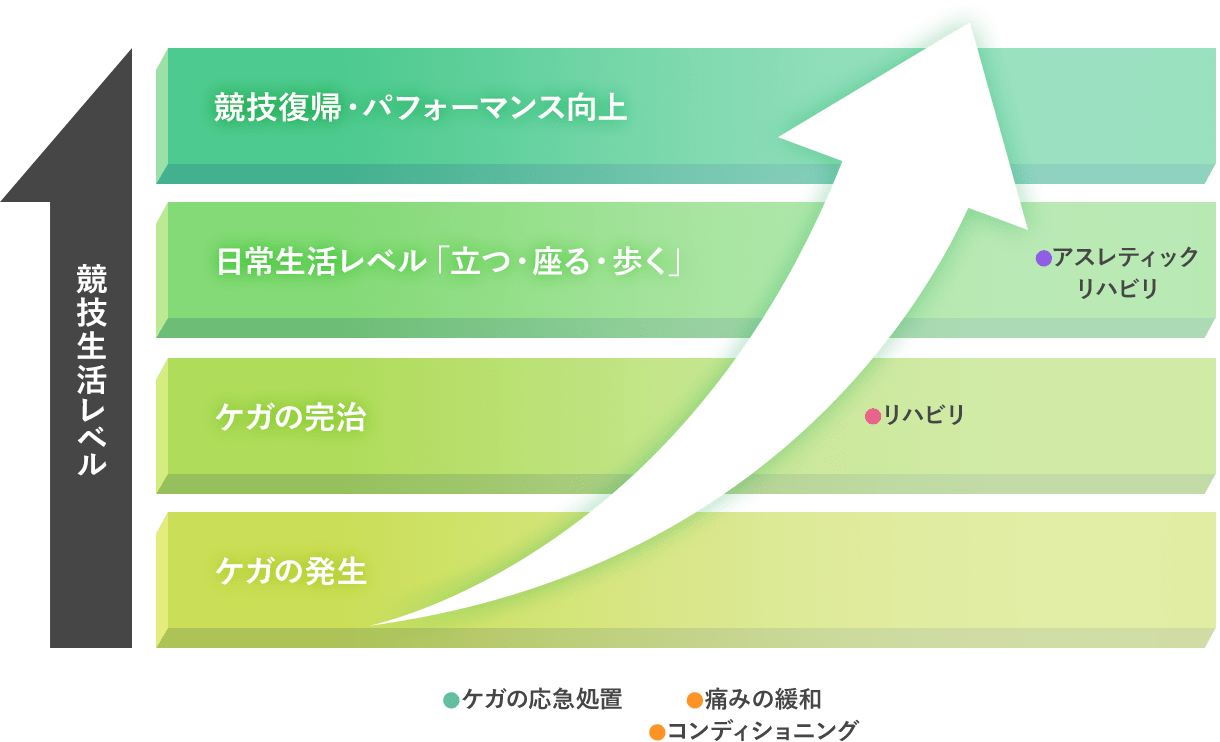 東京メディカル スポーツ専門学校 医療資格でスポーツ選手と健康社会を支える 東京メディカル スポーツ専門学校 医療資格でスポーツ選手と健康社会を支える