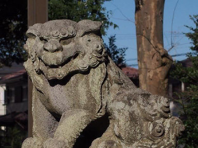 画像